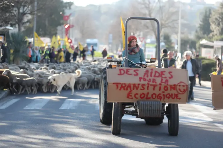 Das Bild zeigt eine Protestszene auf einer Straße. Im Vordergrund fährt eine Frau auf einem Traktor, auf dem ein Schild befestigt ist, das in roter Schrift „Des aides pour la transition écologique :)“ (Übersetzung: „Hilfe für den ökologischen Übergang“) zeigt. Im Hintergrund ist eine große Herde Schafe zu sehen, die von Menschen und Hunden begleitet wird. Einige Personen tragen gelbe Westen und halten gelbe Banner hoch. Die Szene findet bei Tageslicht in einer städtischen Umgebung statt. Die Stimmung deutet auf eine Demonstration für ökologische Anliegen hin.